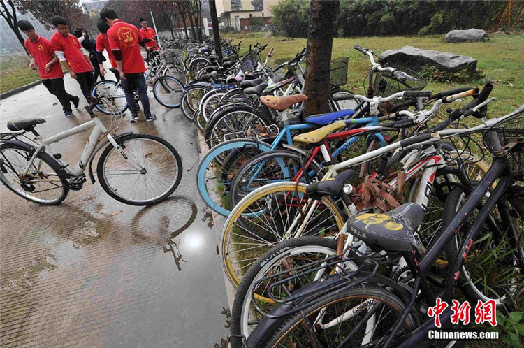 大学志愿者在校园收集整理“僵尸自行车”.jpg